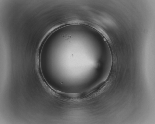 X0000112431000200908141427