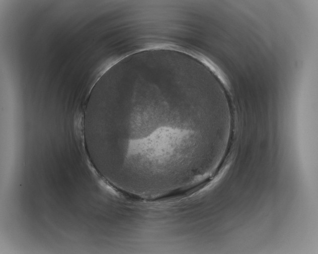 X0000112431001200908141427