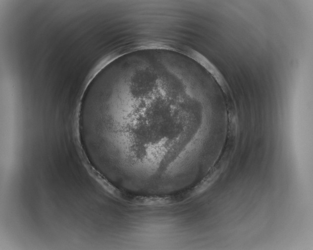 X0000112431002200908141427