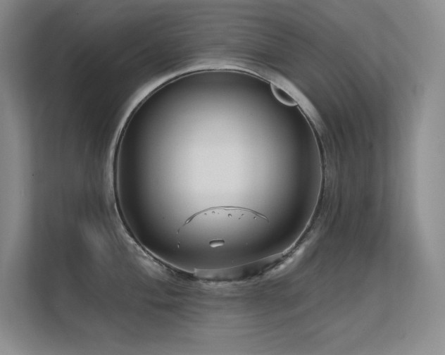 X0000112431004200908141427