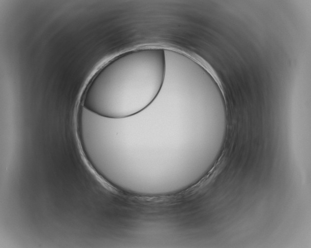 X0000112431005200908141427