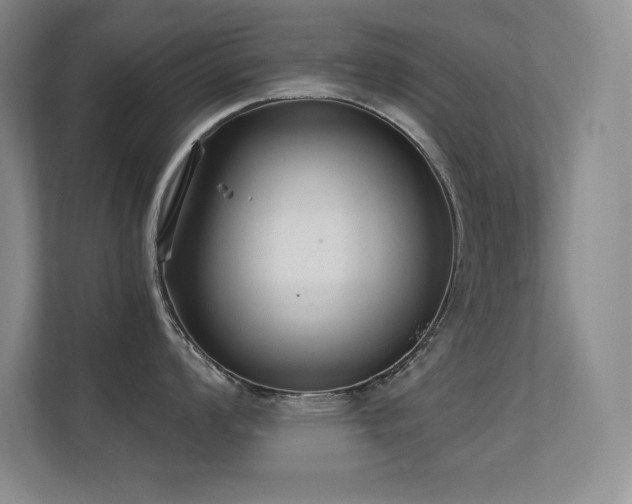 X0000112431008200908141427