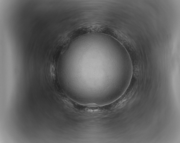 X0000112431010200908141426