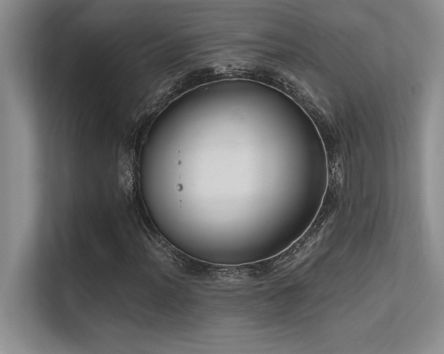 X0000112431012200908141426