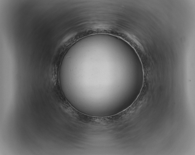X0000112431015200908141426