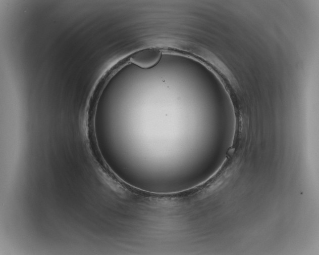 X0000112431020200908141427