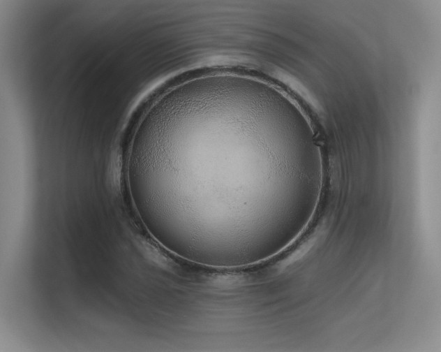 X0000112431021200908141427