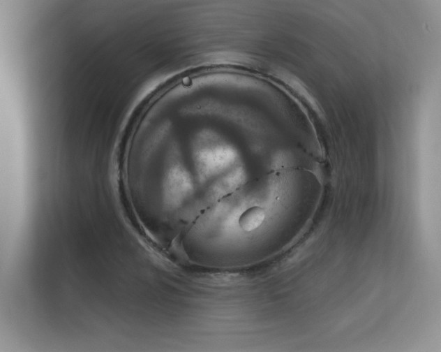 X0000112431024200908141427