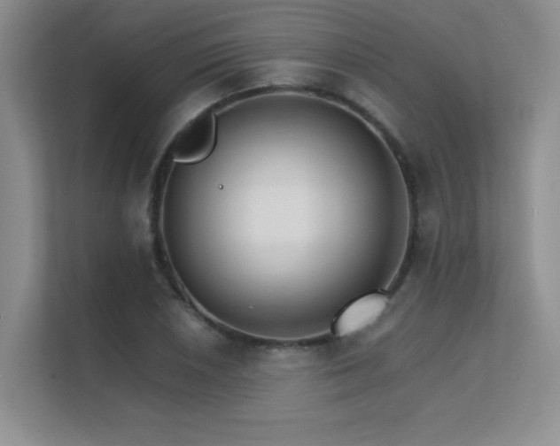 X0000112431026200908141427