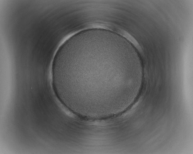X0000112431028200908141427