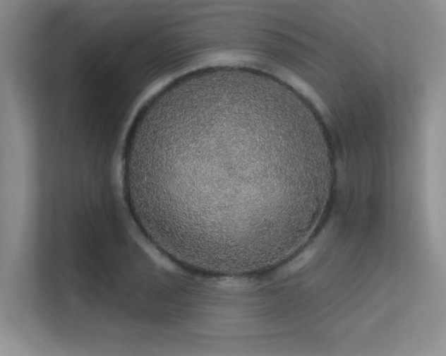 X0000112431029200908141427
