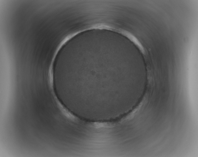 X0000112431032200908141427