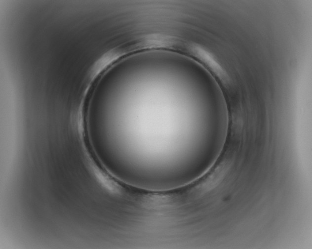 X0000112431034200908141427