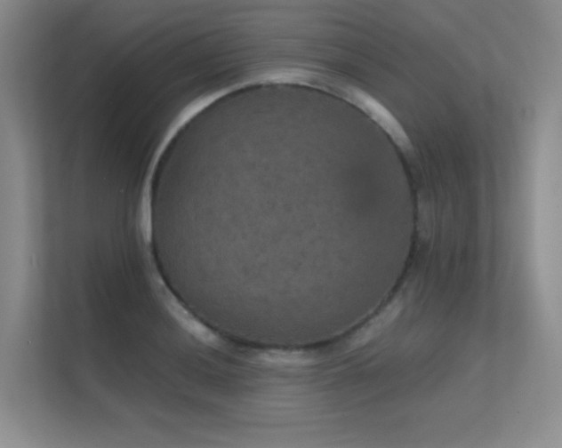X0000112431036200908141427