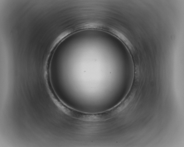 X0000112431042200908141427