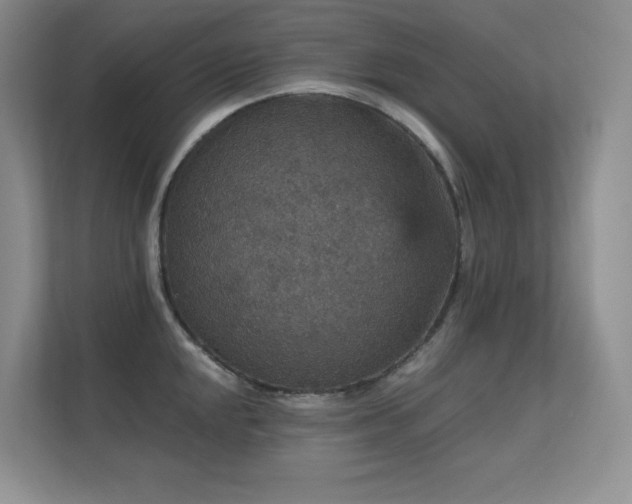 X0000112431048200908141427
