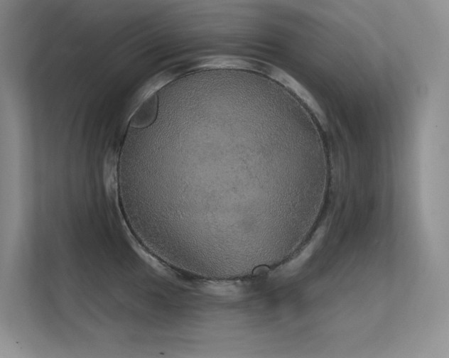 X0000112431049200908141427