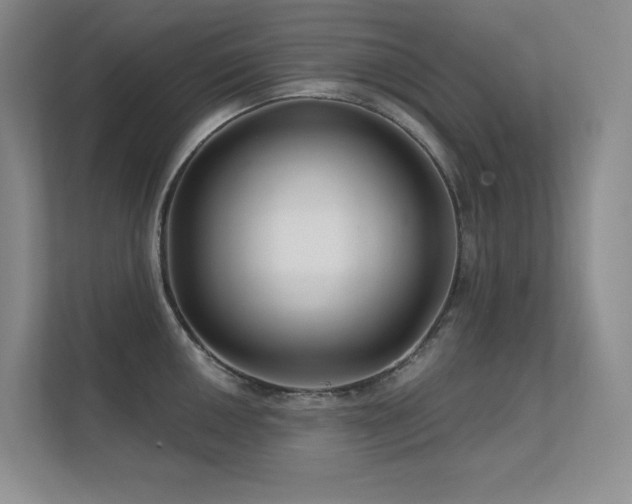 X0000112431050200908141427