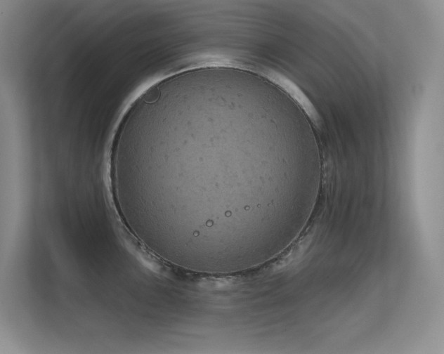 X0000112431051200908141427