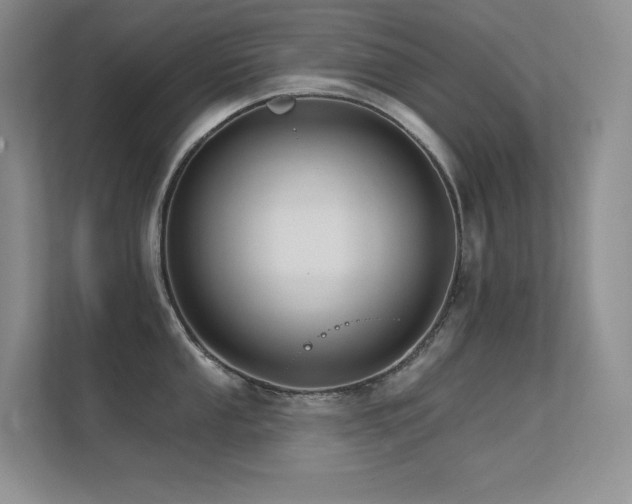 X0000112431053200908141427