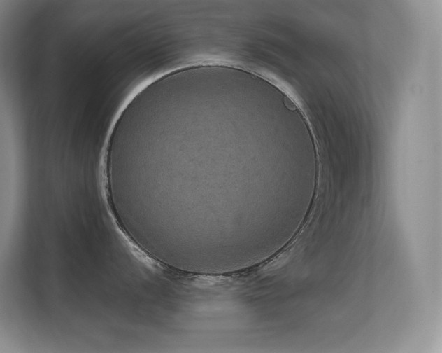 X0000112431056200908141427