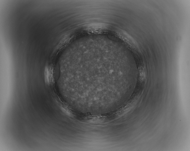X0000112431060200908141426