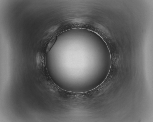 X0000112431061200908141426