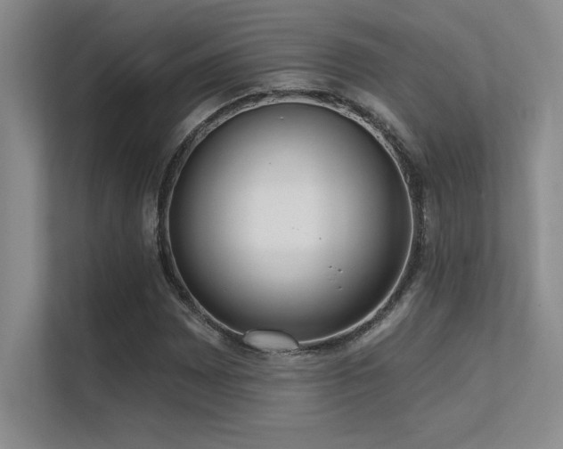 X0000112431065200908141426