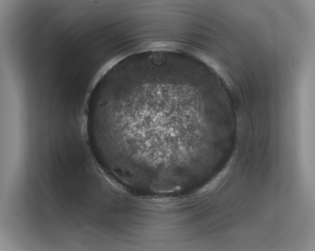 X0000112431066200908141426