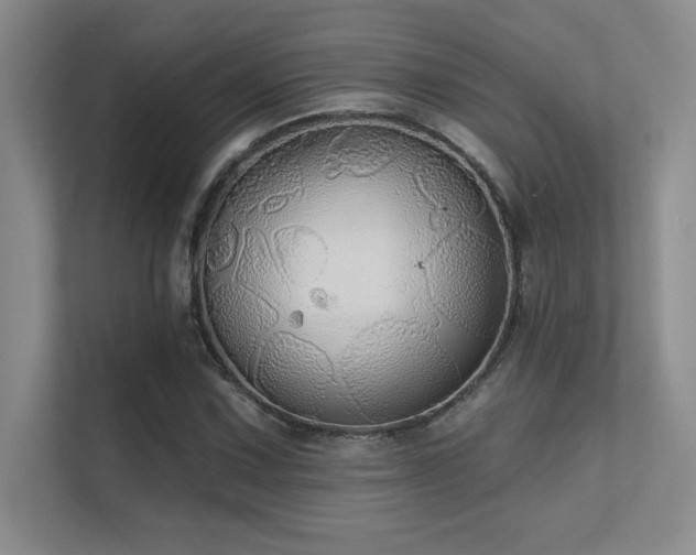 X0000112431067200908141426