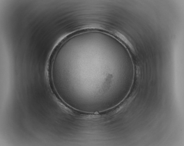X0000112431068200908141426