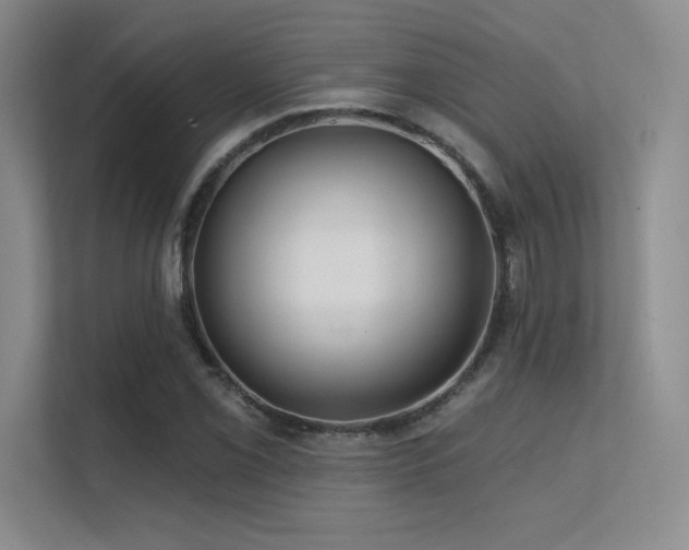 X0000112431069200908141426