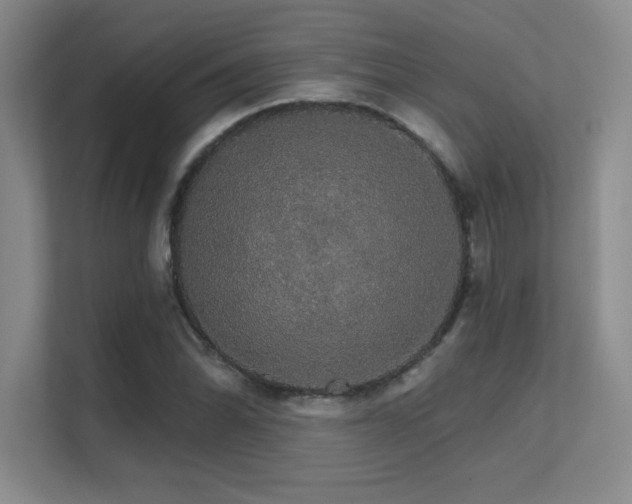 X0000112431070200908141426