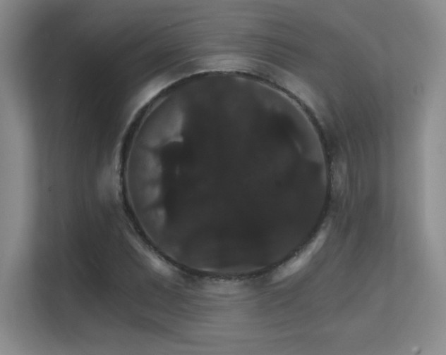 X0000112431071200908141426