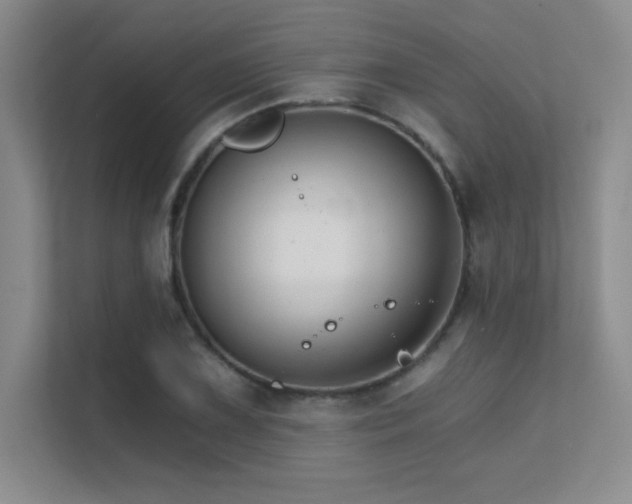 X0000112431075200908141426