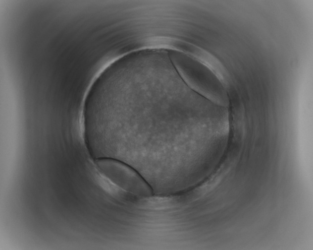 X0000112431076200908141426