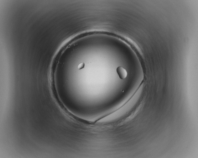 X0000112431077200908141426