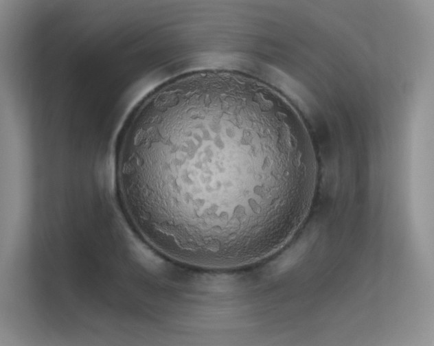 X0000112431079200908141426