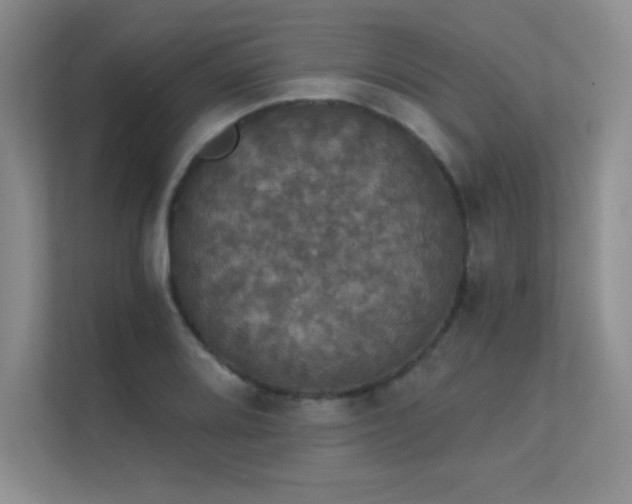 X0000112431080200908141426