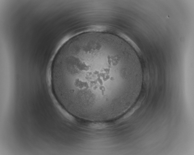 X0000112431083200908141426