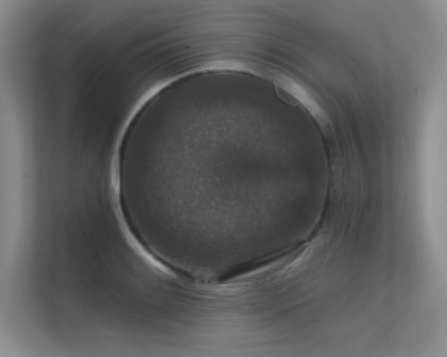 X0000112431084200908141426