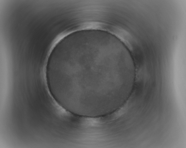 X0000112431086200908141426