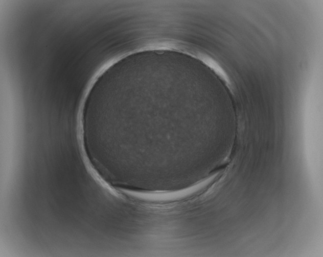 X0000112431088200908141426