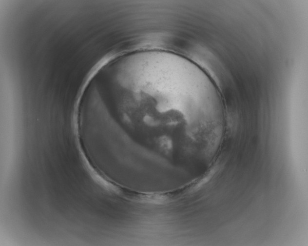 X0000112431090200908141426