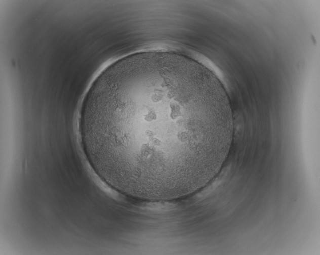 X0000112431091200908141426