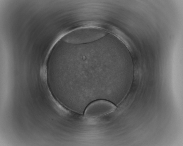 X0000112431092200908141426