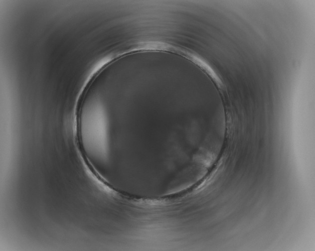 X0000112431095200908141426