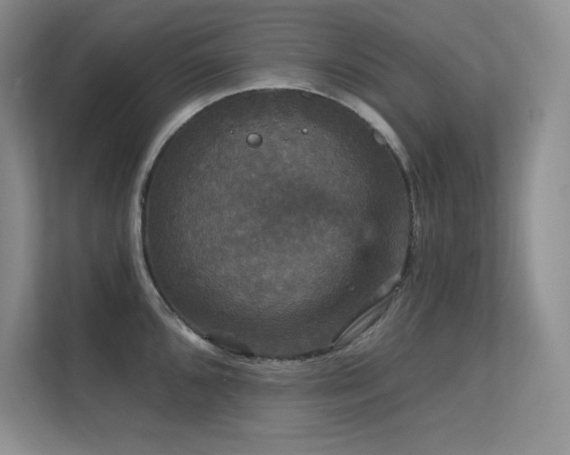 X0000112431096200908141426