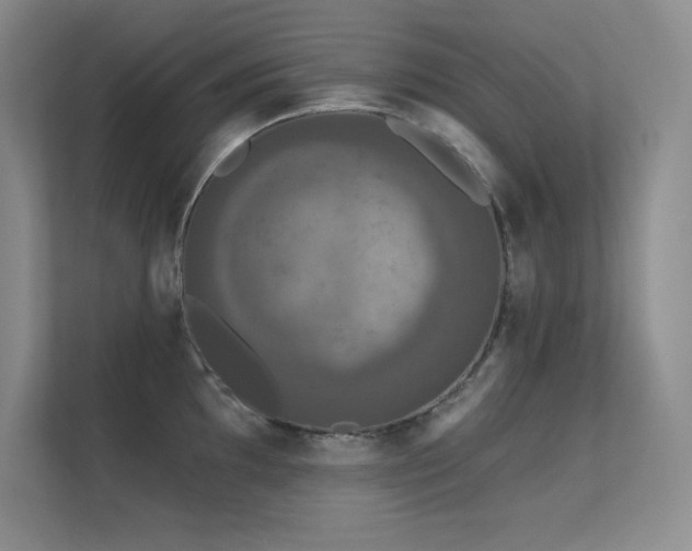 X0000112431097200908141426