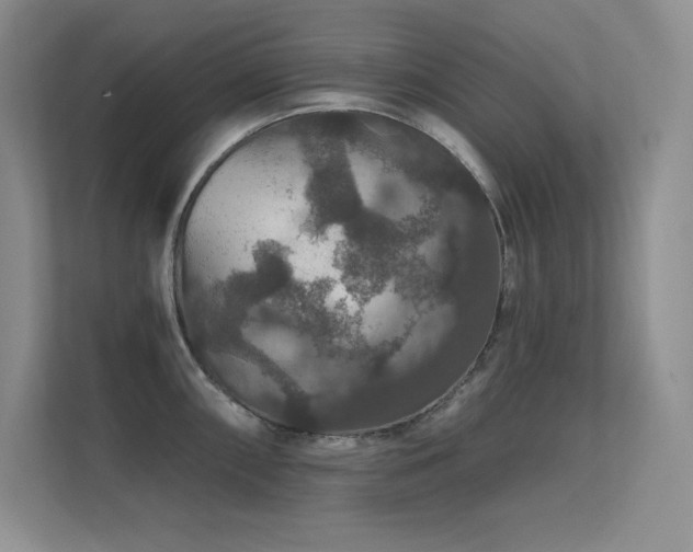 X0000112431098200908141426